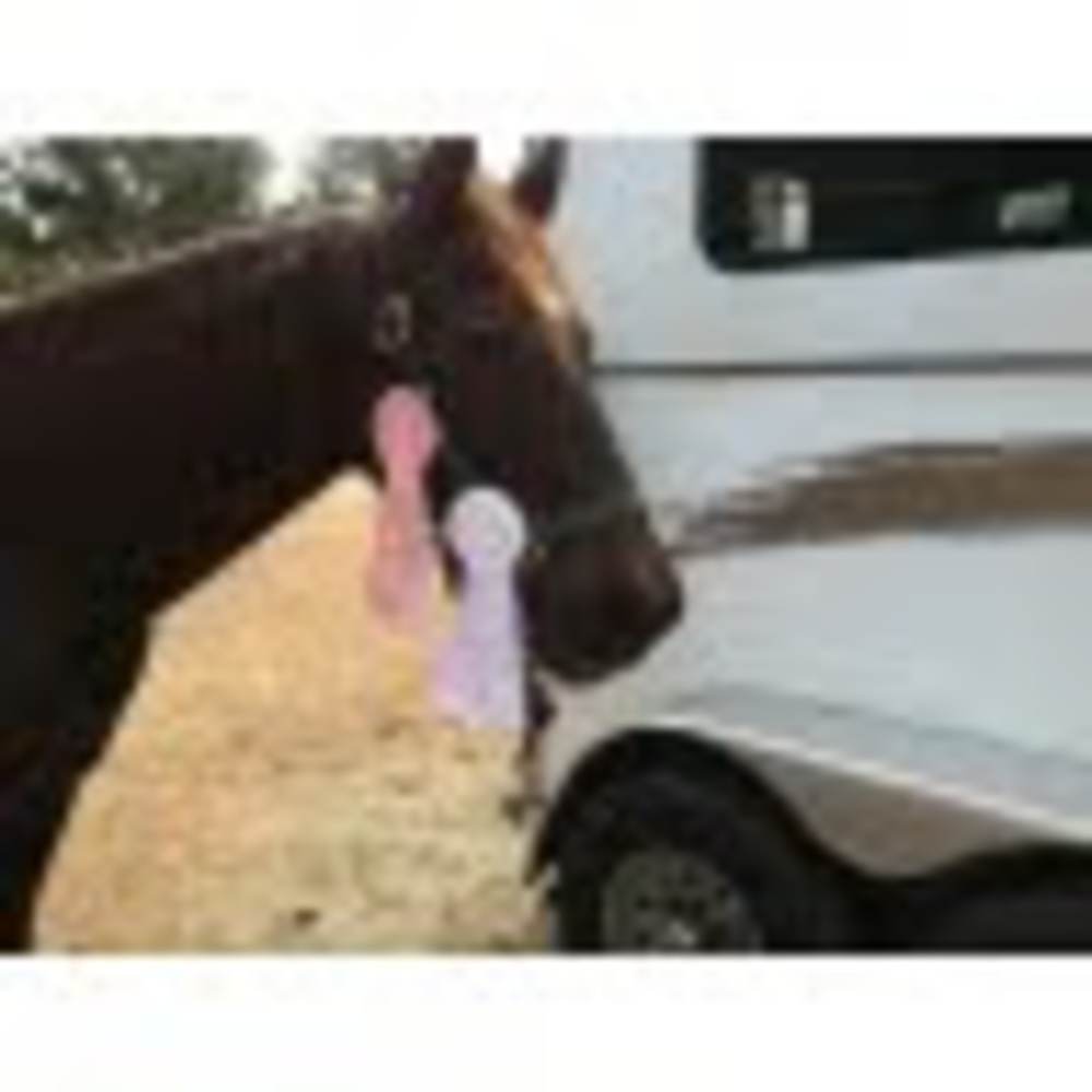 Meet your Posher, Kelly